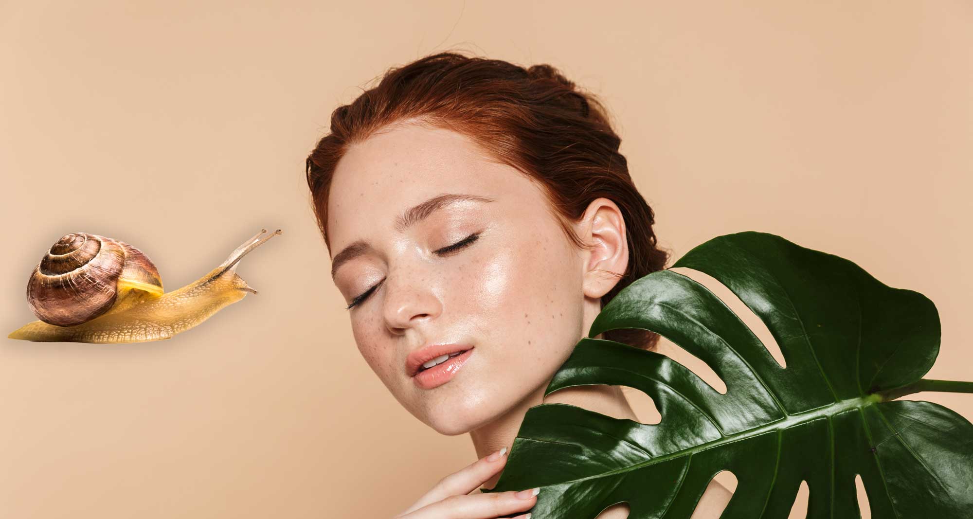 Face and Skincare Products with Snail Slime Nuvò Cosmetic