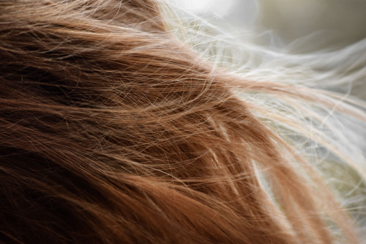 Pointes fourchues dans les cheveux : causes, traitements et prévention