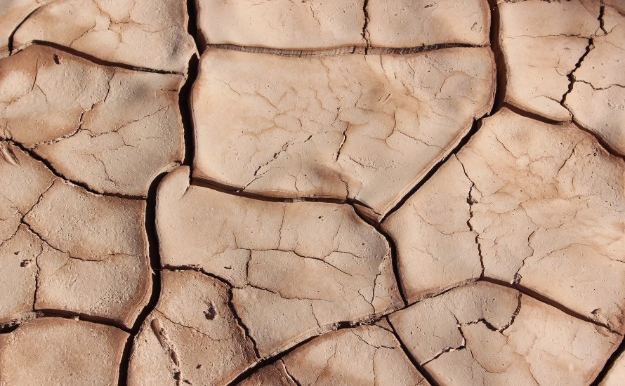Peau sèche en été : quels produits choisir ?